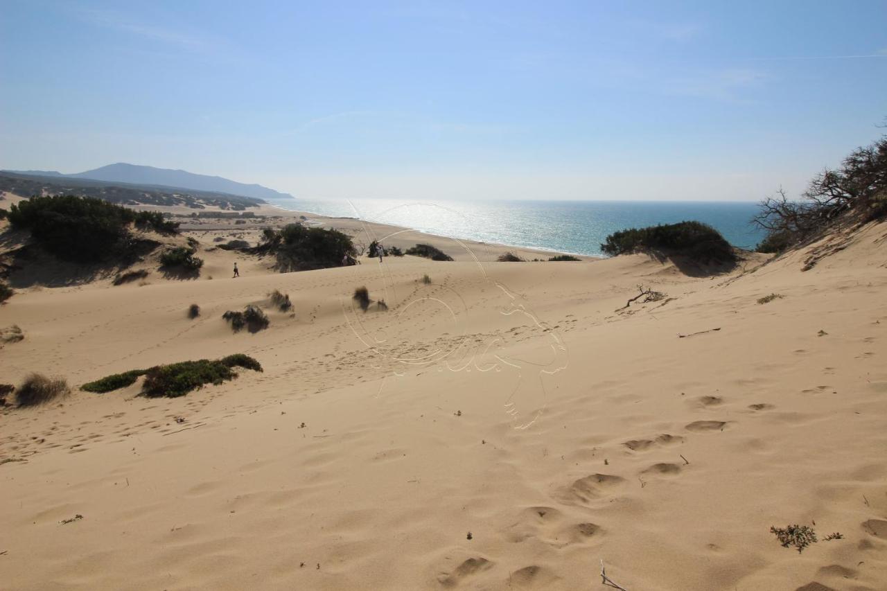 Ampio Appartamento Marina Di 아르버스 외부 사진